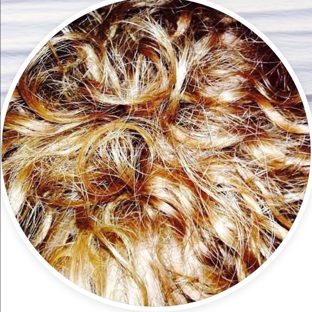 Meet your Posher, Joan